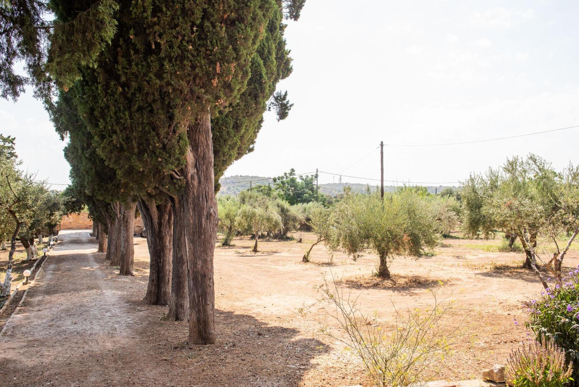 Calvocoressi Estate Chios Town Exterior foto
