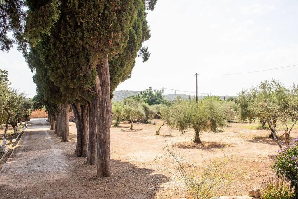 Calvocoressi Estate Chios Town Exterior foto